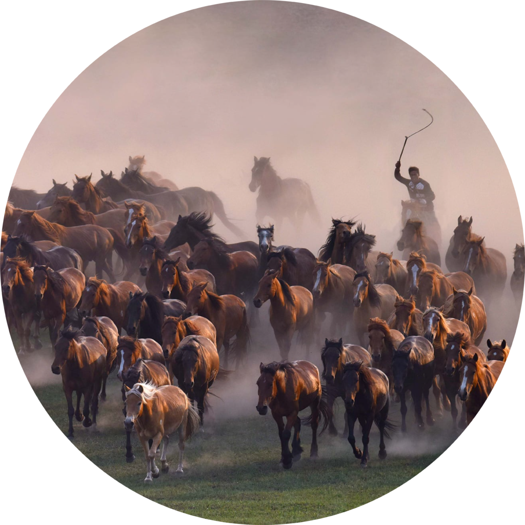 Landscape summit – 写心舎